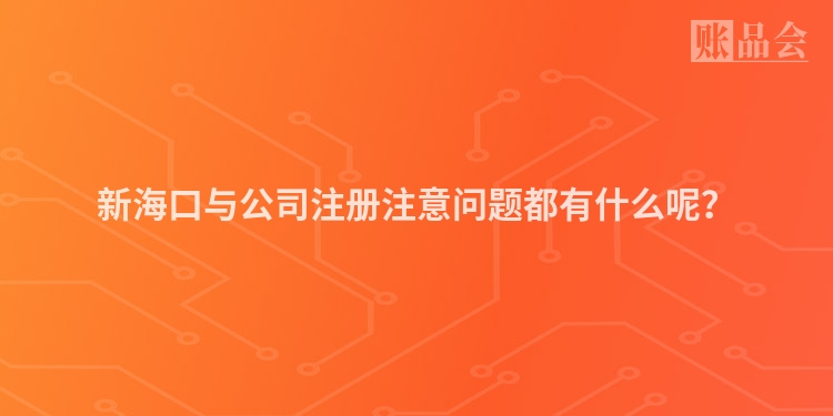 新海口与公司注册注意问题都有什么呢？